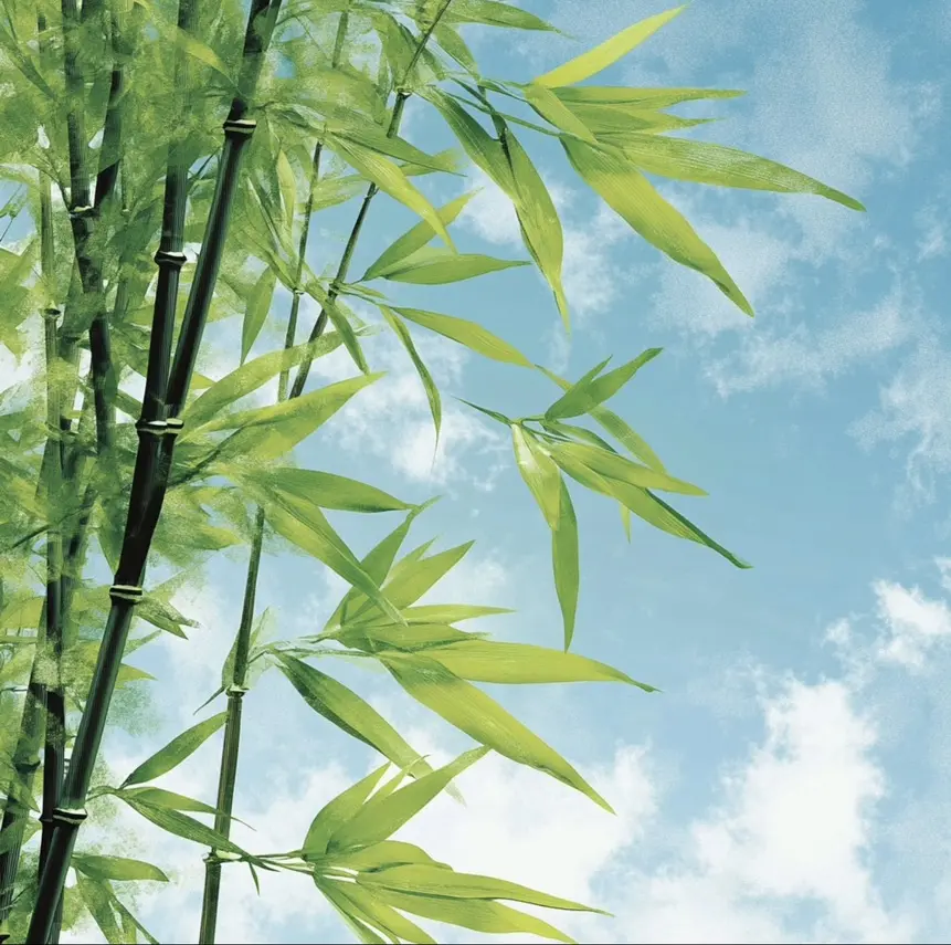 免费下载《检察官室的提案》全本无删减小说-TXT资源在线阅读-检察官室的提案百度云链接