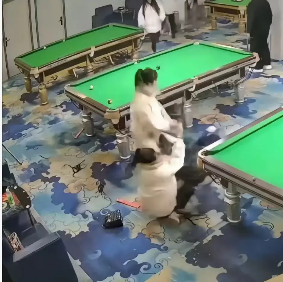 炸裂！《台球厅三狠人》中精神少女于台球厅真人互锤，三女子互打视频全季高清无广告，免费分享别错过！