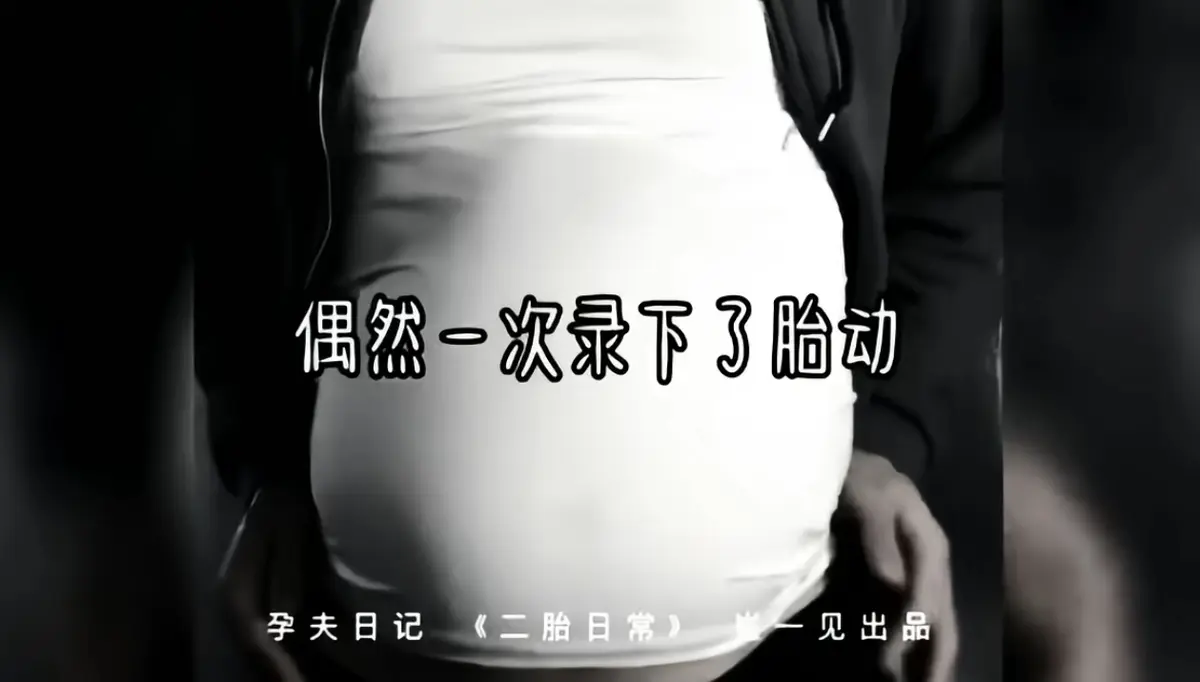 《崔一见孕夫日记》