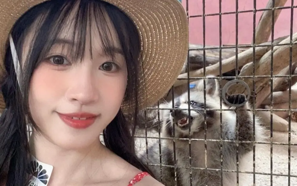 苏畅在线观看全集免费观看-苏畅在线观看免费高清电视剧-国产女神苏畅1080p高清版