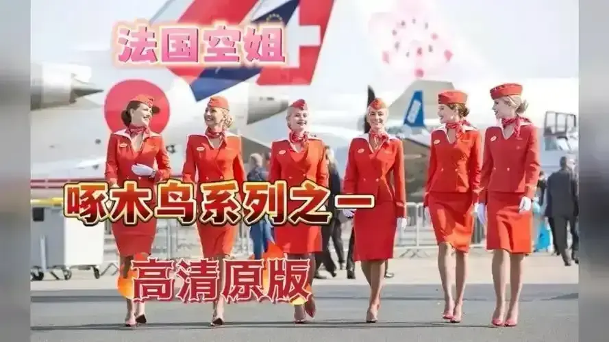 《法国空姐2019》HD高清画质-原片未裁剪-无障碍免费观看-全片无删