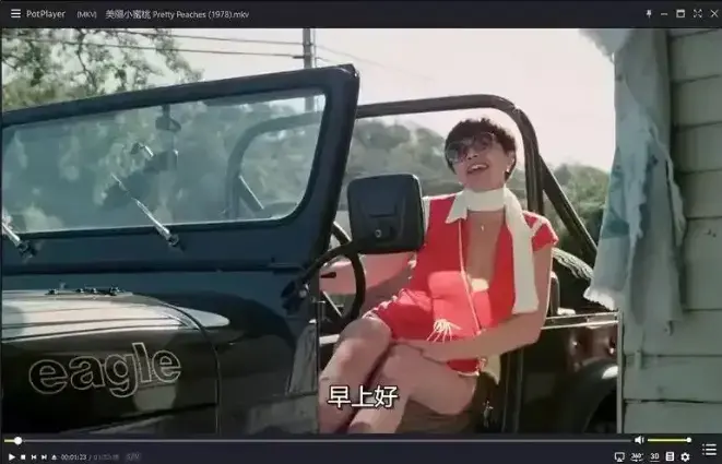 《美丽小蜜桃》未删减高清版在线播放_1978年复古喜剧电影免费无广告观看_策驰影院《美丽小蜜桃》全片流畅不卡顿
