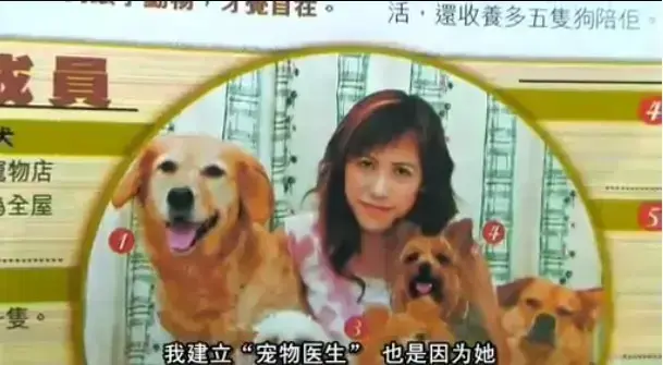 欧美大片《女人与狗》免费播放，中字全集无删减-《女人与狗》高清画质在线看，1080P流畅观影-支持网盘资源下载无广告