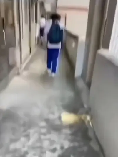 《大昌市第七中学》教室走廊现诡异身影，4K高清无删减免费看，同步分享大昌市第七中学绝密调查档案，点击即看！