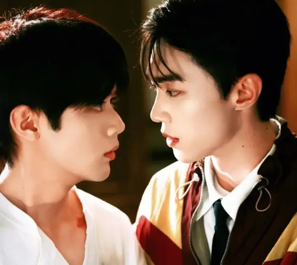 《当我看向你》1080P高清无广告在线观看-2026双男主剧全集免费完整版-《当我看向你》迅雷下载资源