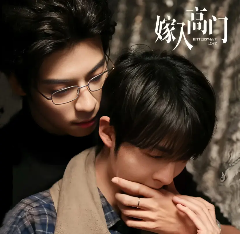 《嫁入高门的男人》蓝光画质免费在线观看_双男主爱情剧《嫁入高门的男人》全季高清无广告播放-星空影院-VS影院