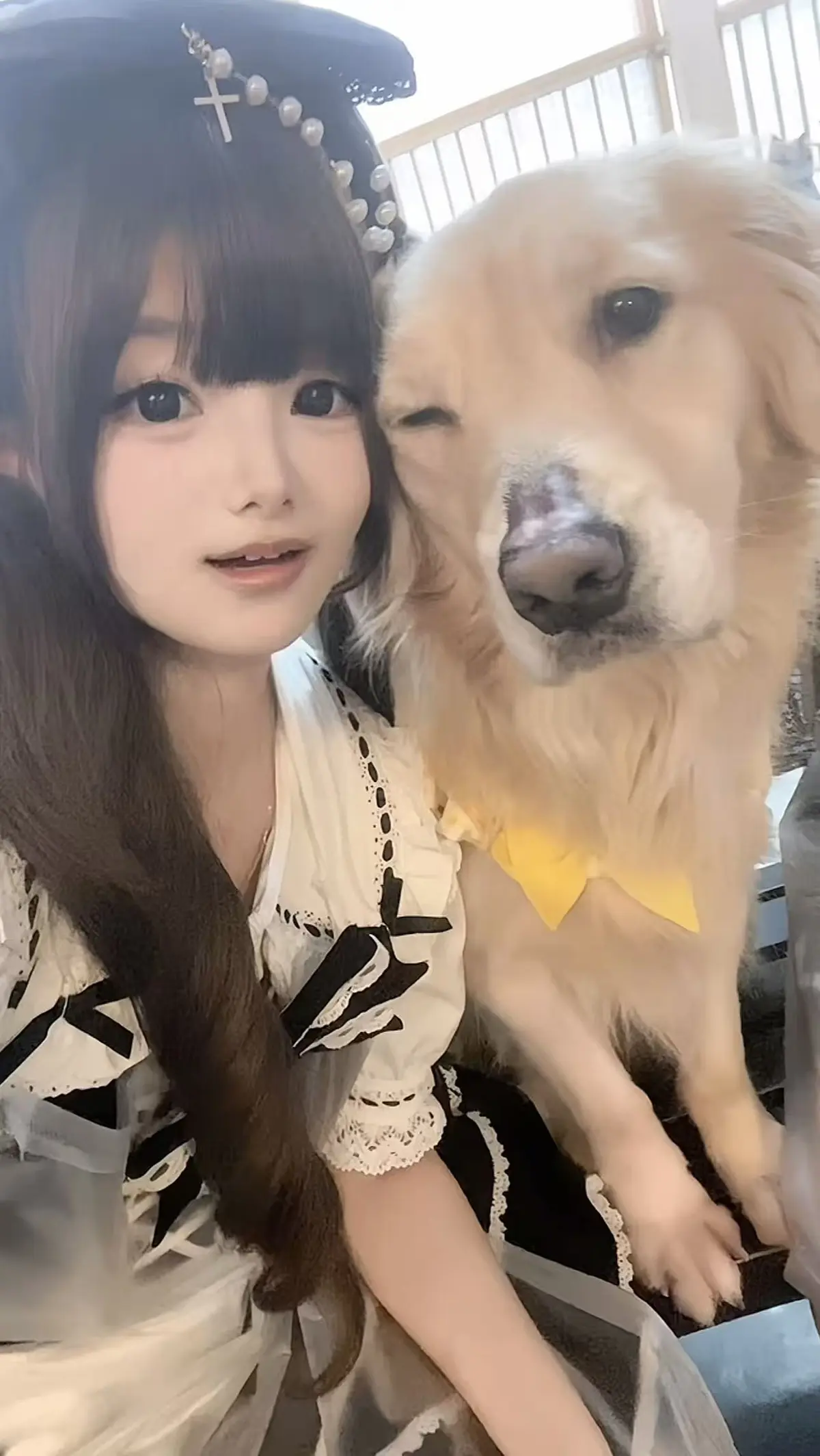 《金毛小蛋糕海鲜事件》原视频免费看 - 香香公主视角下的海鲜事件 - 超清无广告在线观看