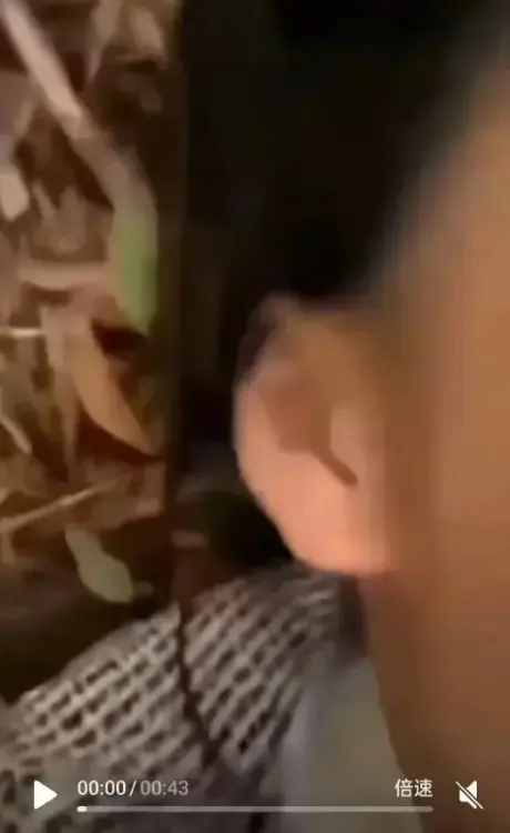 免费观看《女轻奢事件》，直击校园轻奢男孩与轻奢二人组双人大战，轻奢事件前因后果无删减超清呈现，在线体验精彩！